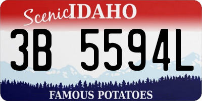 ID license plate 3B5594L