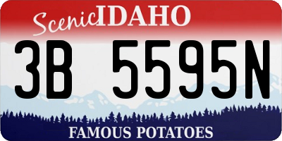 ID license plate 3B5595N