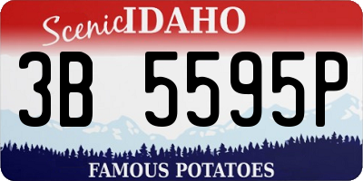 ID license plate 3B5595P