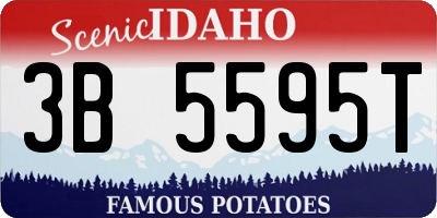 ID license plate 3B5595T