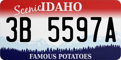 ID license plate 3B5597A