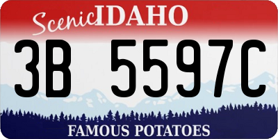 ID license plate 3B5597C