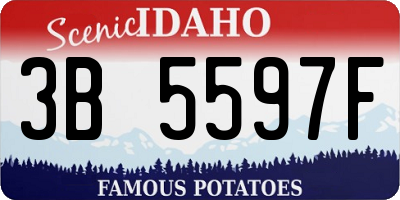 ID license plate 3B5597F