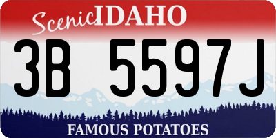 ID license plate 3B5597J