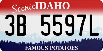 ID license plate 3B5597L