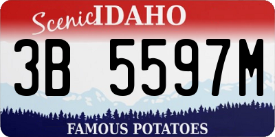 ID license plate 3B5597M