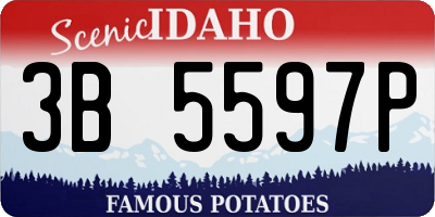 ID license plate 3B5597P