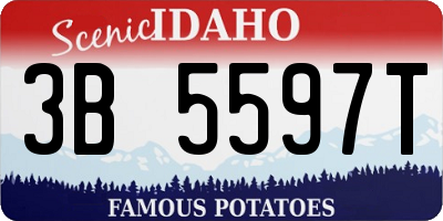 ID license plate 3B5597T