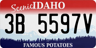 ID license plate 3B5597V