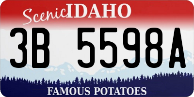 ID license plate 3B5598A