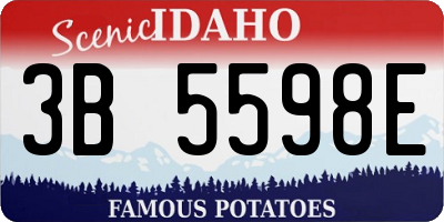 ID license plate 3B5598E