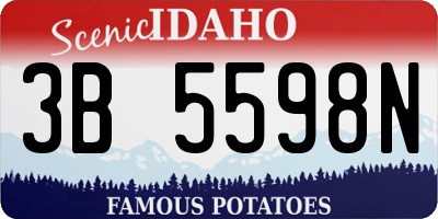 ID license plate 3B5598N