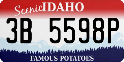 ID license plate 3B5598P