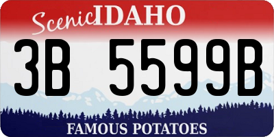 ID license plate 3B5599B