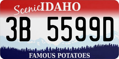 ID license plate 3B5599D