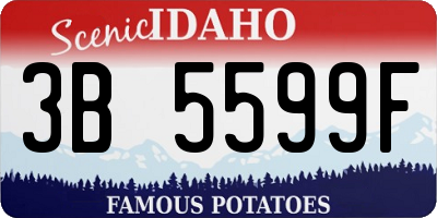 ID license plate 3B5599F