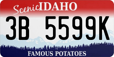 ID license plate 3B5599K