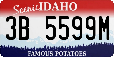 ID license plate 3B5599M