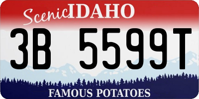 ID license plate 3B5599T