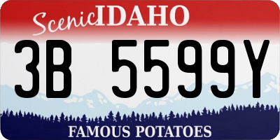 ID license plate 3B5599Y