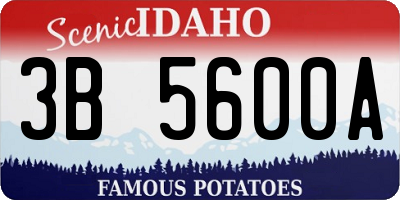 ID license plate 3B5600A