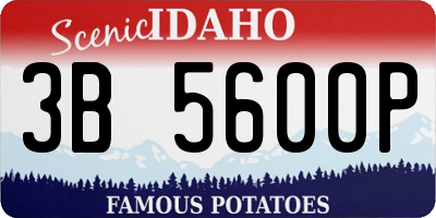 ID license plate 3B5600P
