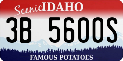 ID license plate 3B5600S