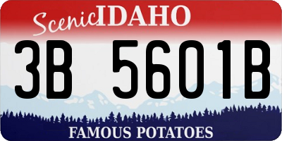 ID license plate 3B5601B