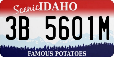 ID license plate 3B5601M