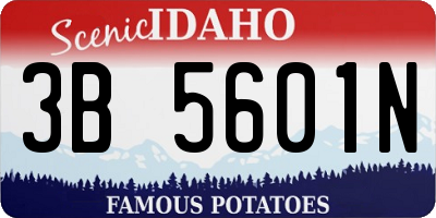 ID license plate 3B5601N