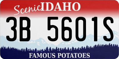 ID license plate 3B5601S