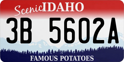 ID license plate 3B5602A