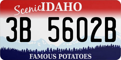 ID license plate 3B5602B