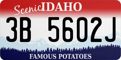 ID license plate 3B5602J