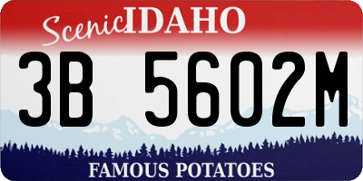 ID license plate 3B5602M
