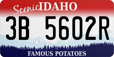 ID license plate 3B5602R