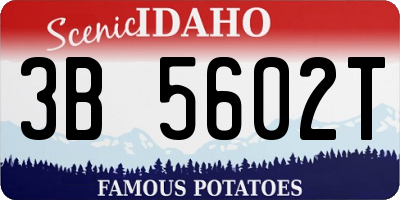 ID license plate 3B5602T