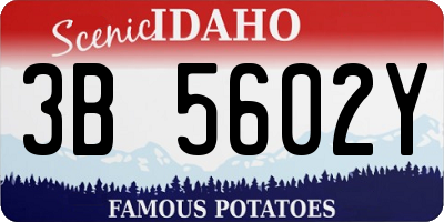 ID license plate 3B5602Y