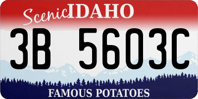 ID license plate 3B5603C