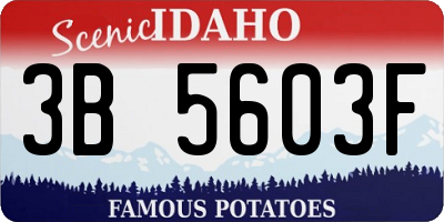 ID license plate 3B5603F