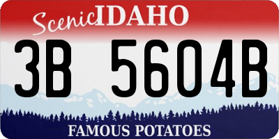 ID license plate 3B5604B