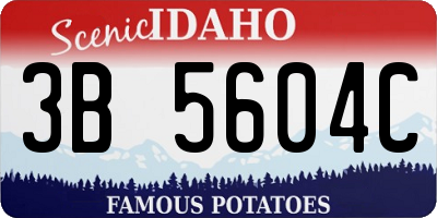 ID license plate 3B5604C