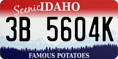 ID license plate 3B5604K