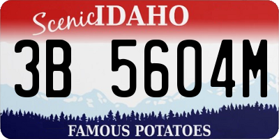 ID license plate 3B5604M