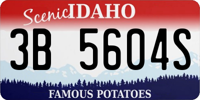 ID license plate 3B5604S