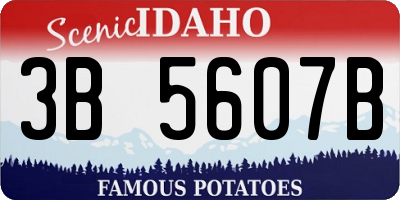 ID license plate 3B5607B