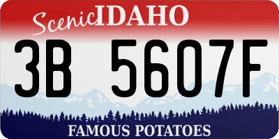 ID license plate 3B5607F