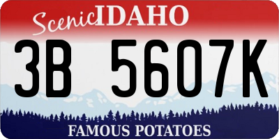 ID license plate 3B5607K