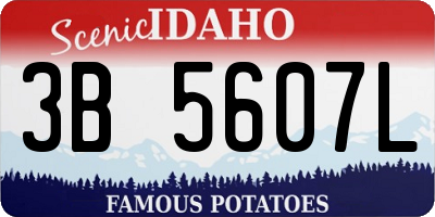 ID license plate 3B5607L