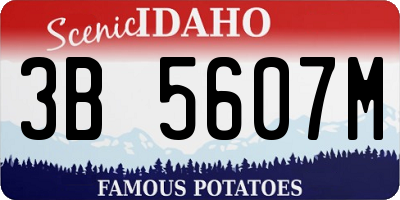 ID license plate 3B5607M